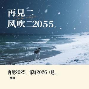 再见2025，你好2026