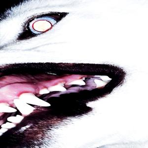 Chaotica (feat. Myles Bryant)