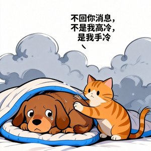 南方的0⁰c冻死狗