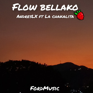 Flow bellako