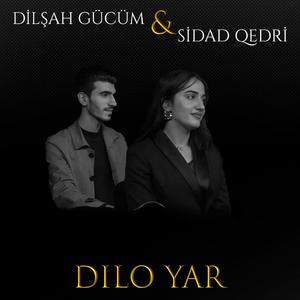 DILO YAR (feat. Sidad Qedri)