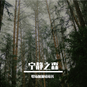 舒缓愉悦之音
