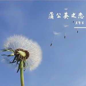 蒲公英之恋