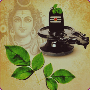 Shiva Bilwashtaka Stotram