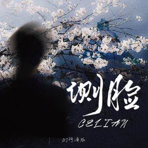 侧脸 (DJ阿泽版)