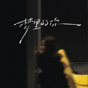 梦里的你（梦里的梦梦里的你）