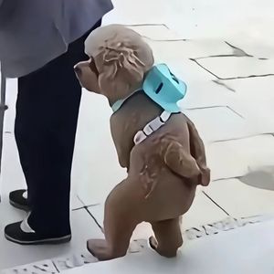 WTF