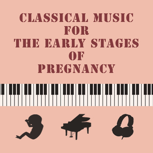 슈만 : 저녁의 노래 (Schumann : Abendlied Op.85-12)