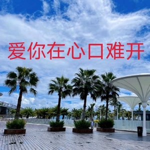 爱你在心口难开（节选）