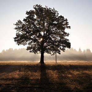 不如不见面（翻自 Mask川）