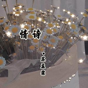 情诗（抖音版）
