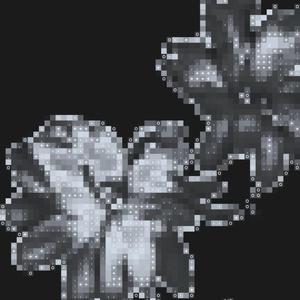 FW THE KID (feat. Moodyy)