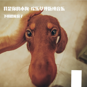 我是你的小狗-欢乐草坪版纯音乐（cover西彬）
