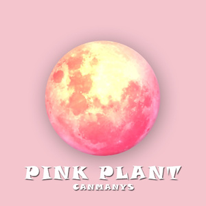 pink planet（prod.by Zj-alvSoN)