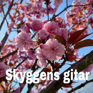 Skyggens gitar