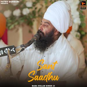 Sant saadhu