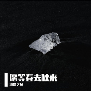 生而为人像只乌鸦 伴奏