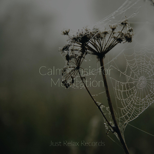Enfolding Memories