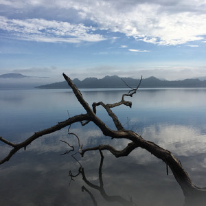 届かぬ手紙 (Remix)