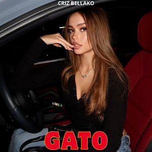 Gato