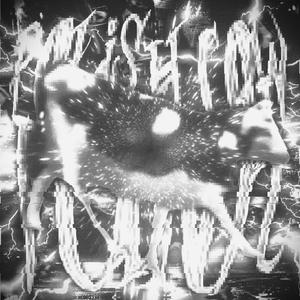 POLISH COW FUNK (Slowed)