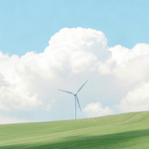 夏天的风（Summer wind）