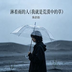 淋着雨的人(我就是荒漠中的草)