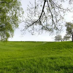 04 Light Between Days