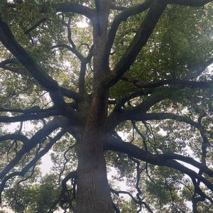 念 feat Aiqi CK（PROD BY 年轻的布洛克）