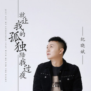 就让我的孤独陪我过夜
