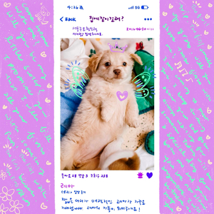 집에 같이 갈래?