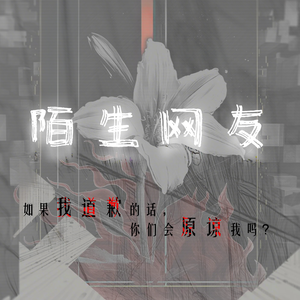 陌生网友(如果我道歉的话)