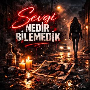 Sevgi Nedir Bilemedik