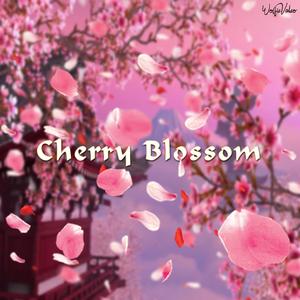 Cherry Blossom