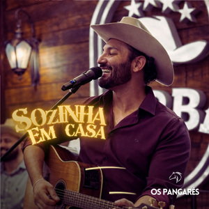 Sozinha em Casa (Ao Vivo em Guarapuava)