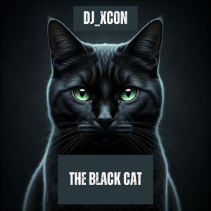 The Black Cat