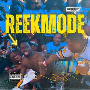 ReekMode
