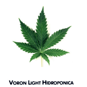 Just Blue (feat. Space)