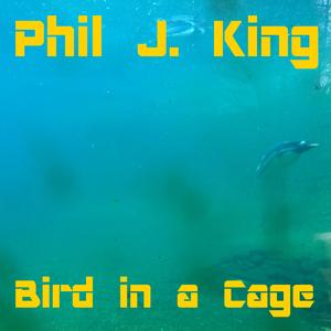 Bird in a Cage