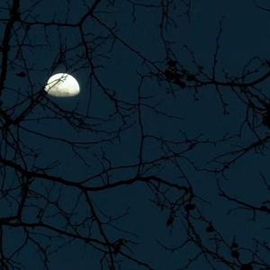 BLKBRST / Brynn Elliott-来来来（许园 remix）