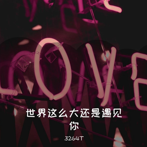 世界这么大还是遇见你(男生版)