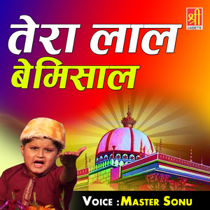 Meera Syed Hussain Ka