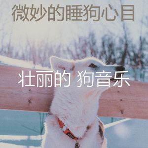 抚慰的睡狗回忆
