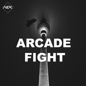 Arcade Fight