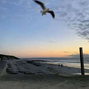 Numb（DJ阿杰 Remix）