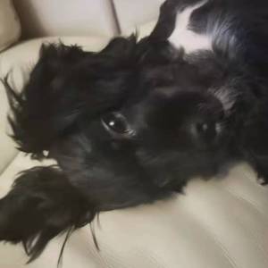 乱唱的（Prod By Red killer）