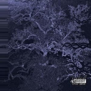 PMBO (feat. Divinci)