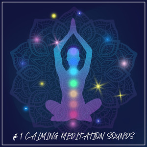 Out of the Wind, into the Sun