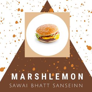 Sawai Bhatt Sanseinn