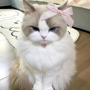 Love Story - Indila (